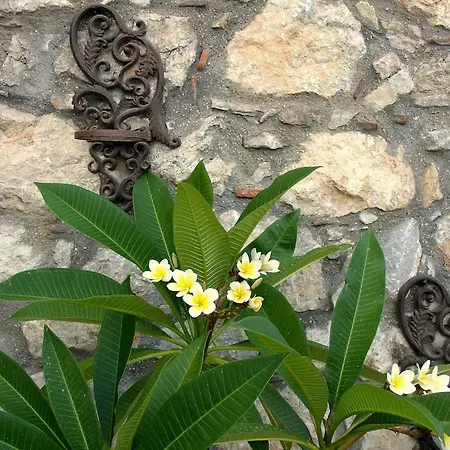 Ilakati House, Megalo Horio Village, Tilos Island Apartament